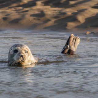 Afbeelding voor Noord-Frankrijk