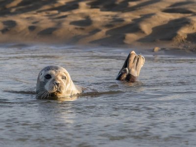 Foto door Noord-Frankrijk