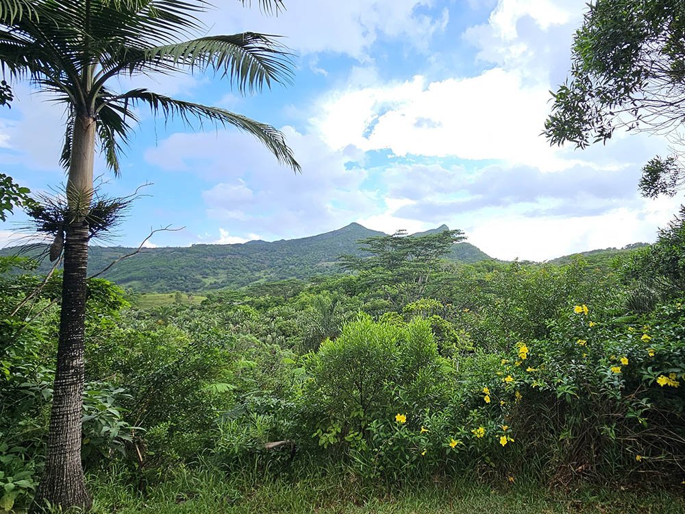 Natuur op Mauritius