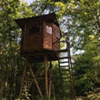 Afbeelding voor Bivak in een vogelhut