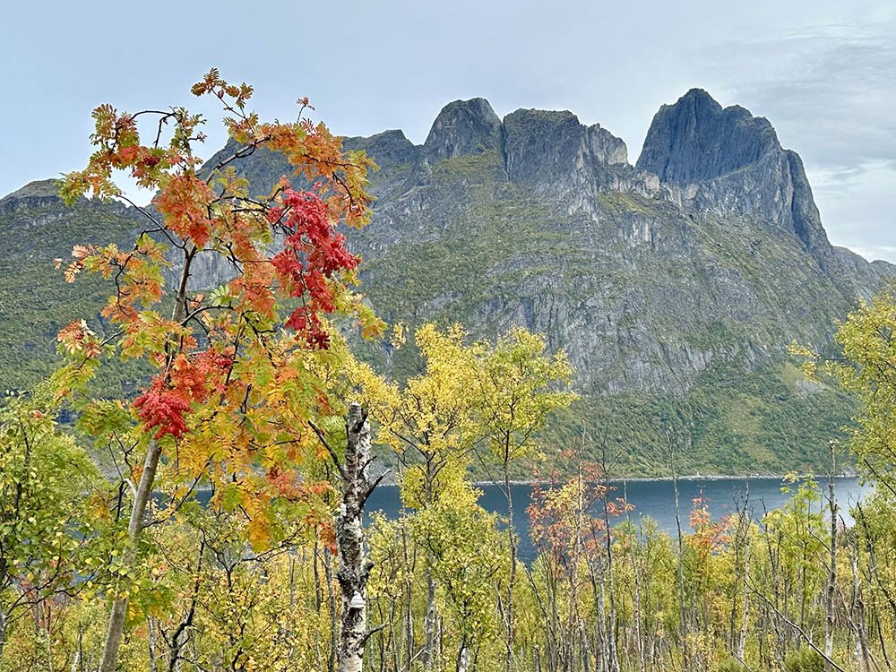 Herfst op Senja