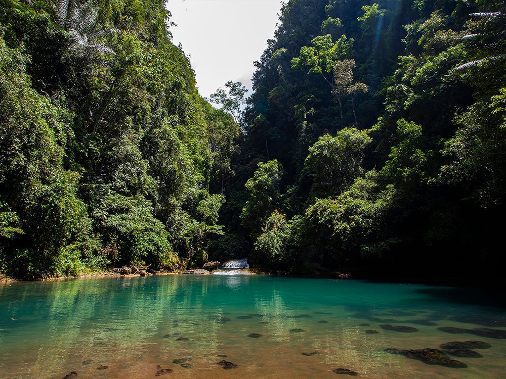 Bantimurung–Bulusaraung