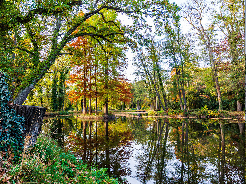 Schlosspark Krumke