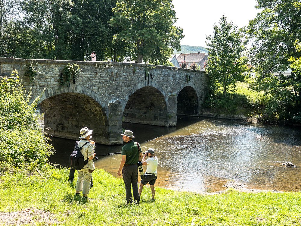 Rivier de Viroin