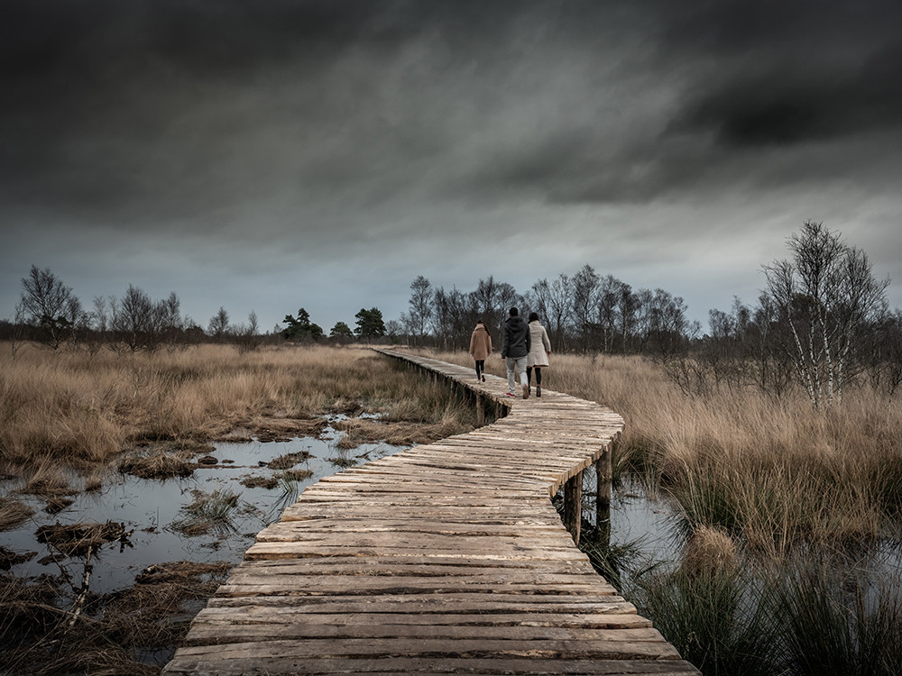 Noord-Limburg wandelroutes