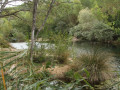 Natuur Provence Verte
