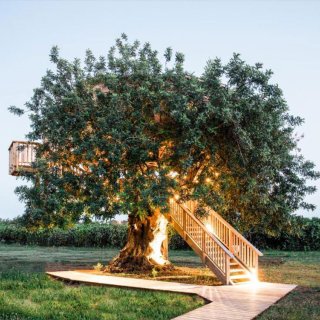 Afbeelding voor Bijzonder overnachten in Portugal