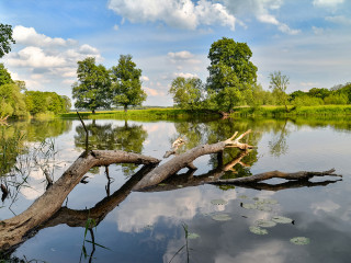 Afbeelding voor Natuur rond Berlijn