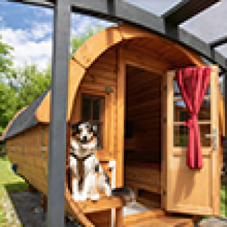 Afbeelding voor EuroParcs - Hond mee