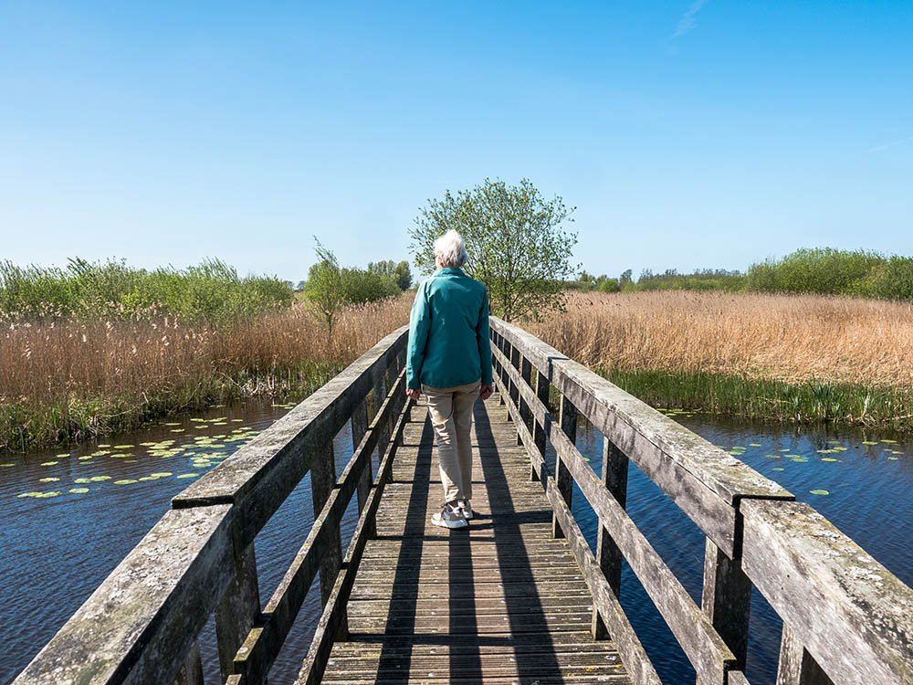 Wandelen in de Onlanden