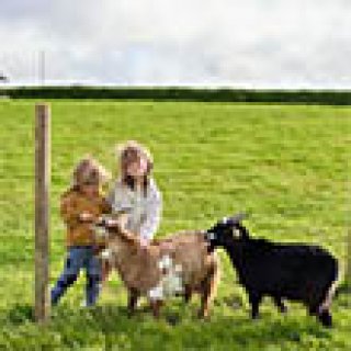 Afbeelding voor BoerenBed - Treganhoe Farm