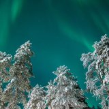 Afbeelding voor Noorderlicht zien