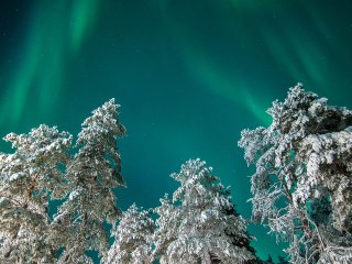 Afbeelding voor Noorderlicht zien
