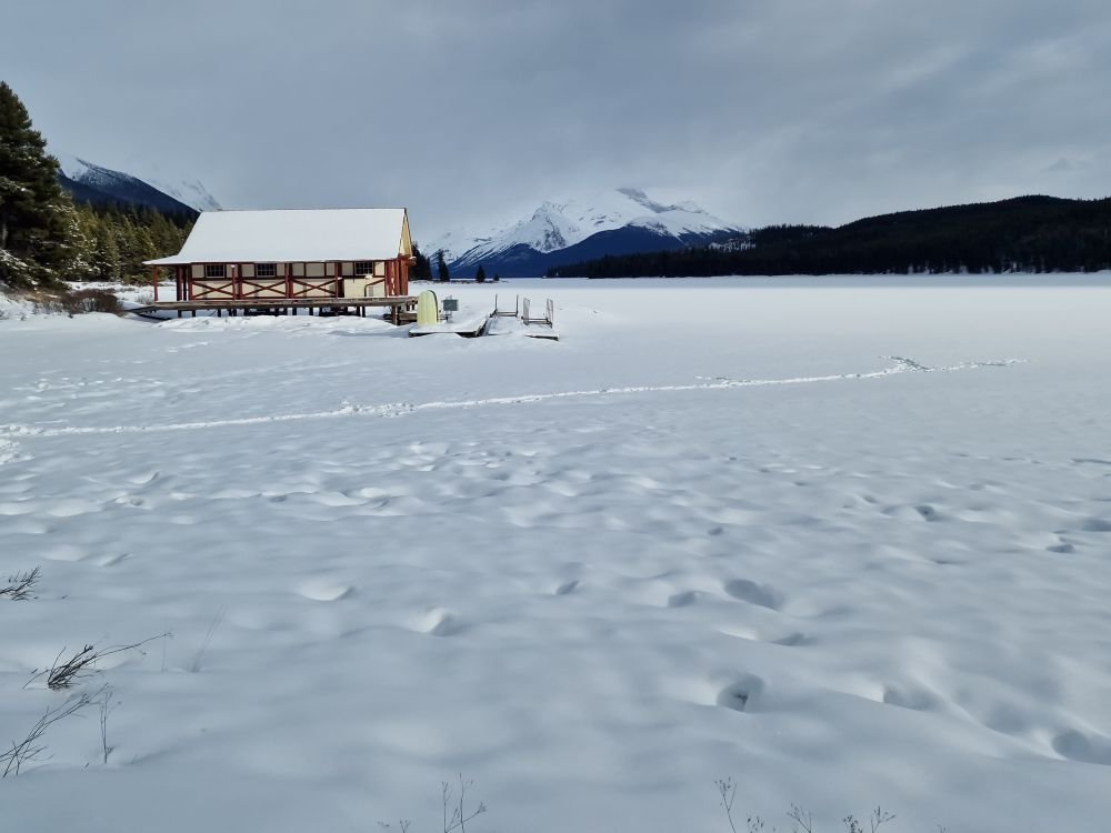 Maligne Road