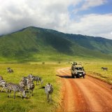 Afbeelding voor Tanzania Nomads