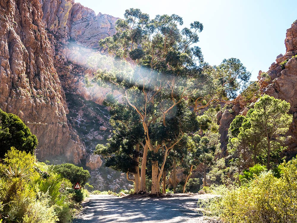 Kloof Swartberge