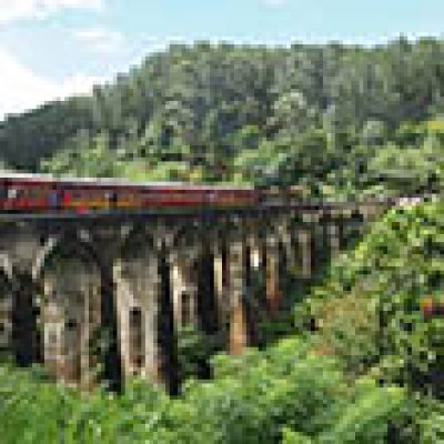 Afbeelding voor Local Hero Travel - Sri Lanka