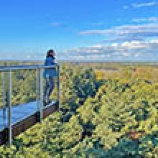 Afbeelding voor Najaar in Friesland