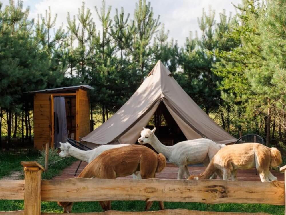 Glamping in Polen
