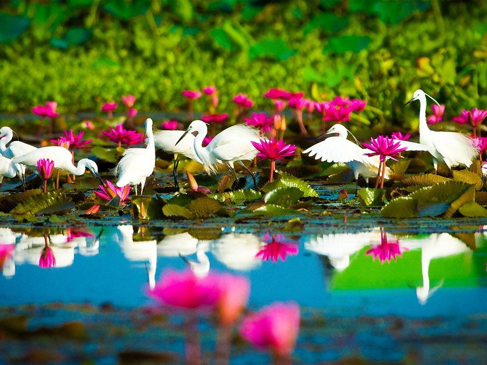 Kajakken in de Thaise natuur