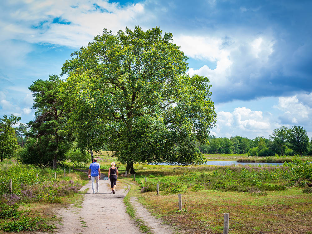 Wandelen in Gelderland
