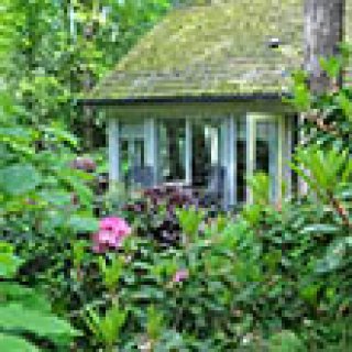 Afbeelding voor Natuurhuisje - Oudemirdum