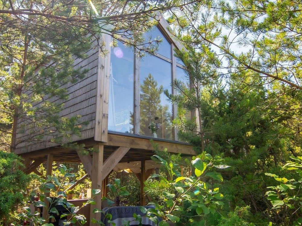 Boomhut Estland