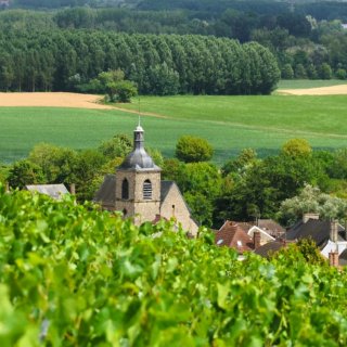 Afbeelding voor Champagnestreek