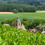 Afbeelding voor Champagnestreek