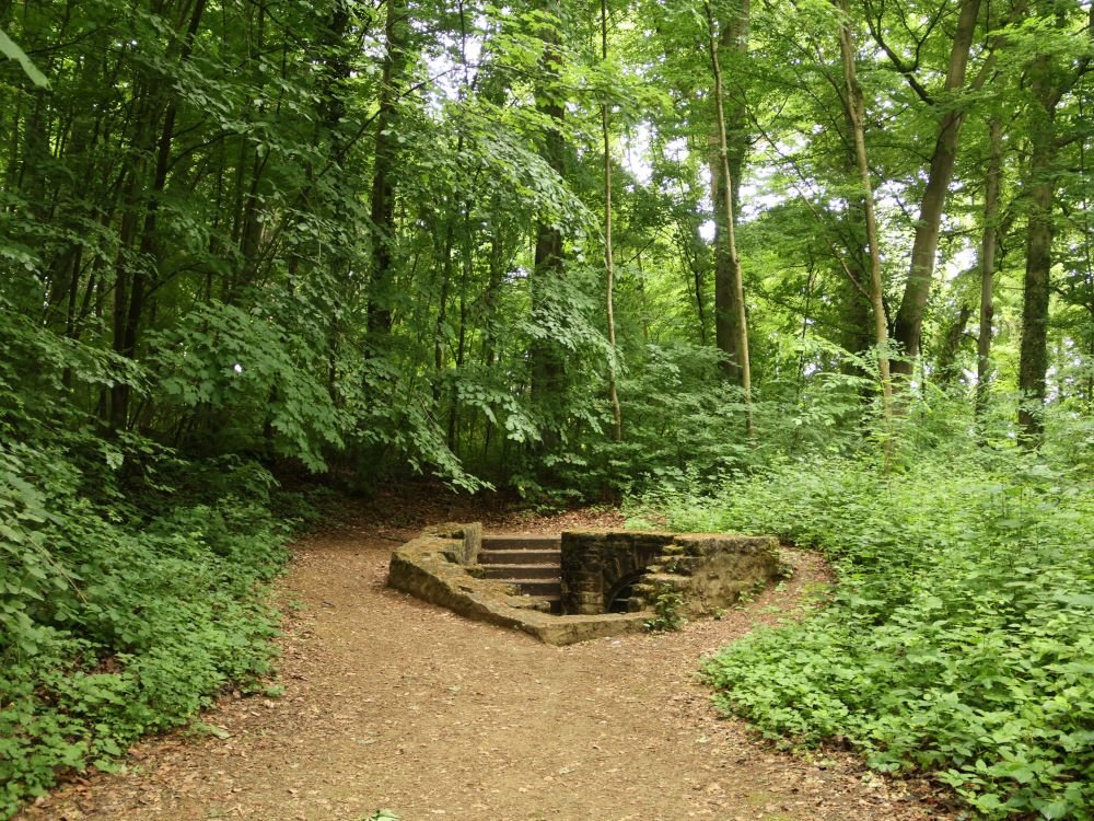 Draï Eechelen park