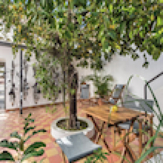 Afbeelding voor Booking.com - Lemon Tree Stay