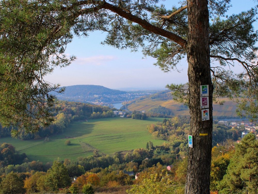 Herfstlandschap in Saarland