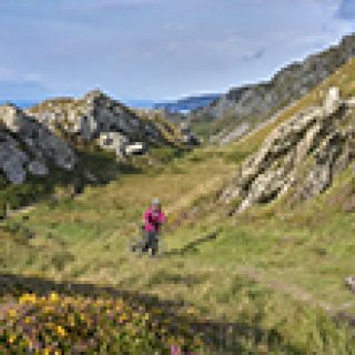 Afbeelding voor Better Places - 17-daagse autorondreis Ierland