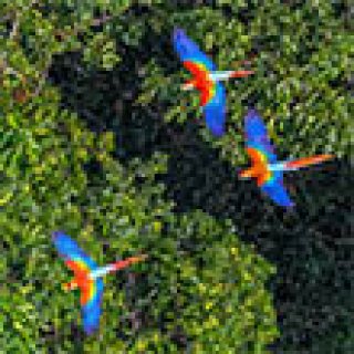 Afbeelding voor PANGEA Travel - Colombia