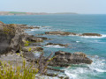 WAW West-Cork