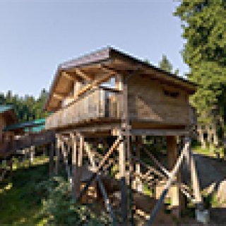 Afbeelding voor Boomhotel Kopfing