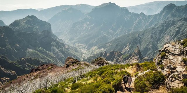 Afbeelding voor Intrepid Travel - Wandelreis Madeira (nieuw!)