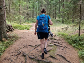 Afbeelding voor Hanwag wandelschoenen