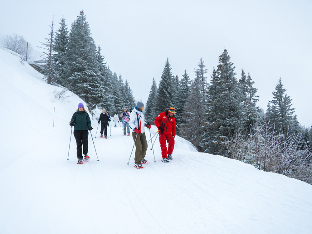 Sneeuwschoenwandelen