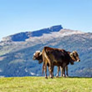 Afbeelding voor Bookatrekking - Trektocht Kleinwalsertal