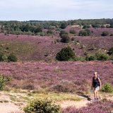 Afbeelding voor Nationale parken in Nederland