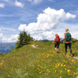 Afbeelding voor Wandelen in Grossarltal