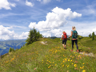 Afbeelding voor Wandelen in Grossarltal