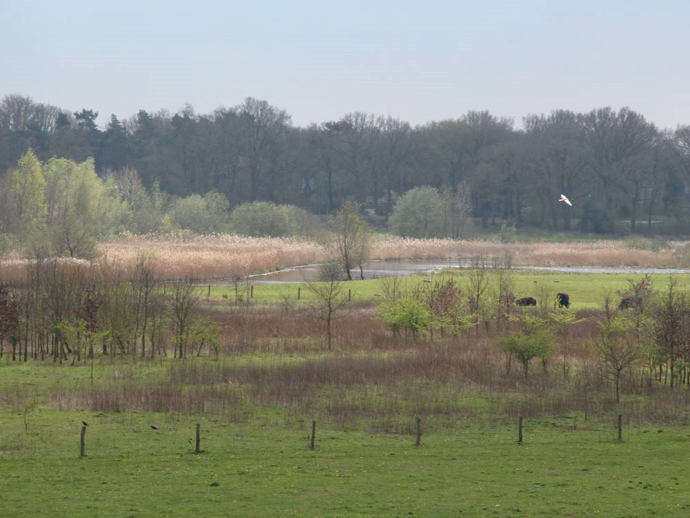 Zicht vanaf distelbelt