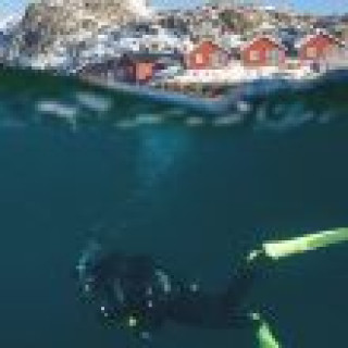 Afbeelding voor Manawa - Duiken of snorkelen bij de Lofoten