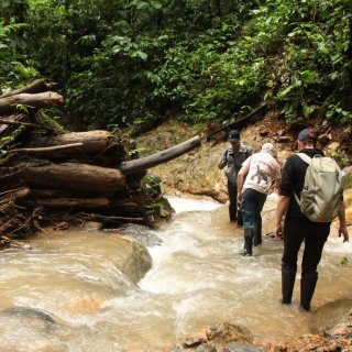 Afbeelding voor Trekking in Ecuador