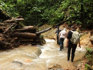 Afbeelding voor Trekking in Ecuador
