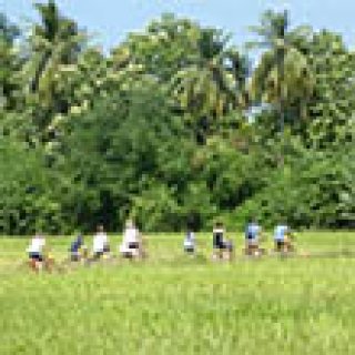 Afbeelding voor Sawadee - Fietsreis Sri Lanka