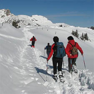 Afbeelding voor SNP - Sneeuwschoenwandelen Grossarltal