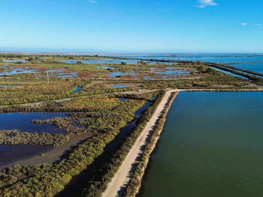 Drone foto Camargue